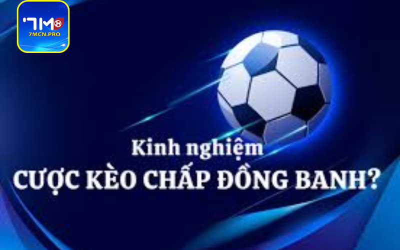 Kinh nghiệm đặt kèo trăm trận trăm thắng từ cao thủ